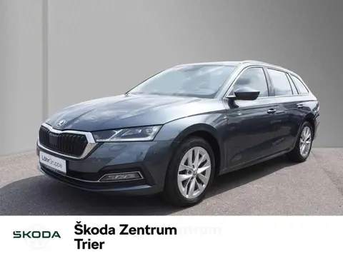 Used SKODA OCTAVIA Diesel 2020 Ad 