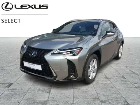 Used LEXUS UX Hybrid 2019 Ad 