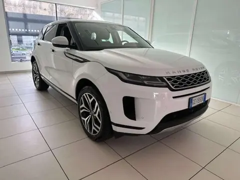 Used LAND ROVER RANGE ROVER EVOQUE Hybrid 2020 Ad 