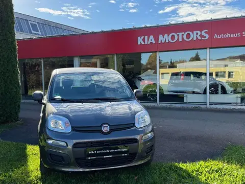 Used FIAT PANDA Petrol 2018 Ad 