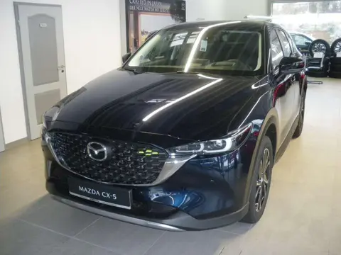 Used MAZDA CX-5 Petrol 2023 Ad 