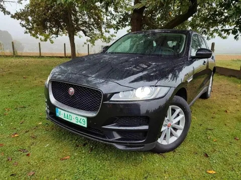 Annonce JAGUAR F-PACE Diesel 2021 d'occasion 