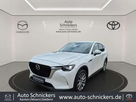 Annonce MAZDA CX-60 Hybride 2022 d'occasion 