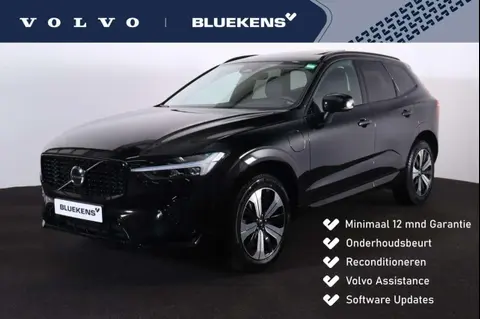 Annonce VOLVO XC60 Hybride 2023 d'occasion 