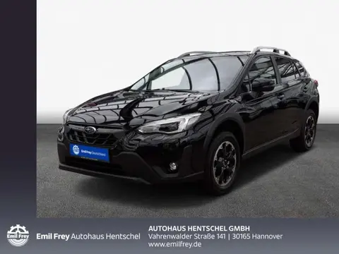 Annonce SUBARU XV Essence 2023 d'occasion 