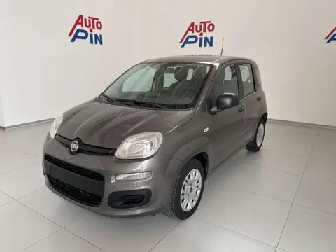 Used FIAT PANDA Petrol 2019 Ad 