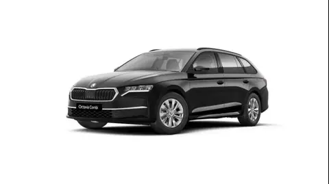 Annonce SKODA OCTAVIA Diesel 2024 d'occasion 