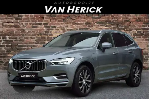 Annonce VOLVO XC60 Hybride 2020 d'occasion 