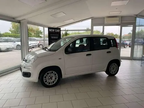 Used FIAT PANDA LPG 2016 Ad 