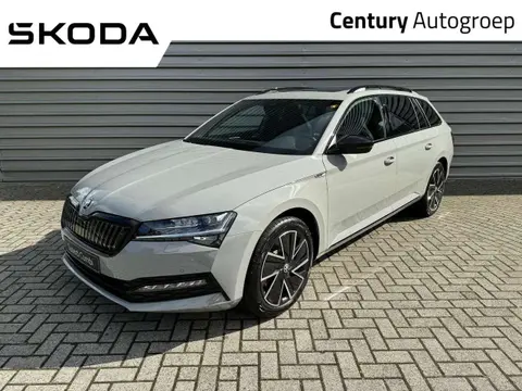 Annonce SKODA SUPERB Hybride 2024 d'occasion 