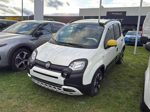 Annonce FIAT PANDA Essence 2024 d'occasion 