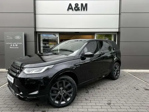 Used LAND ROVER DISCOVERY Hybrid 2023 Ad 