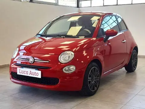 Used FIAT 500 Petrol 2019 Ad 