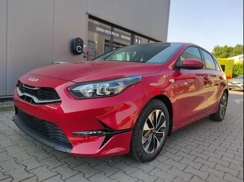 Annonce KIA CEED Essence 2024 d'occasion 