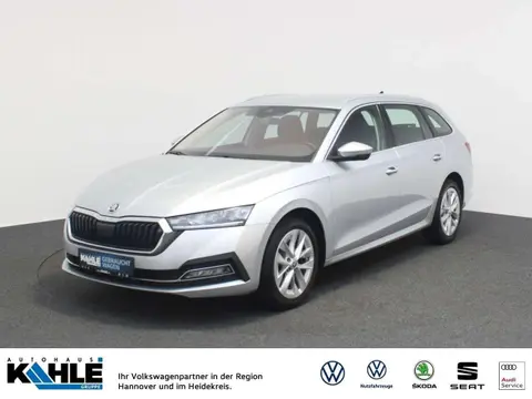 Annonce SKODA OCTAVIA Diesel 2021 d'occasion 