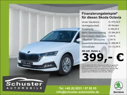 Used SKODA OCTAVIA Diesel 2023 Ad 