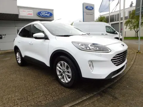 Used FORD KUGA Diesel 2024 Ad 