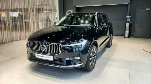 Annonce VOLVO XC60 Hybride 2023 d'occasion 