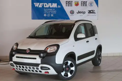 Used FIAT PANDA Petrol 2024 Ad 