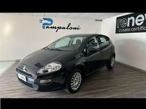 Annonce FIAT PUNTO Diesel 2017 d'occasion 