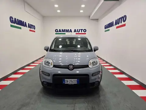 Annonce FIAT PANDA Hybride 2023 d'occasion 