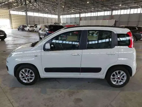 Used FIAT PANDA Petrol 2019 Ad 