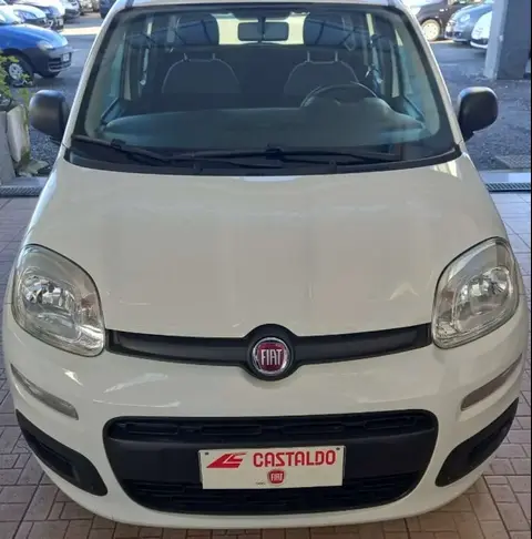 Annonce FIAT PANDA Essence 2020 d'occasion 