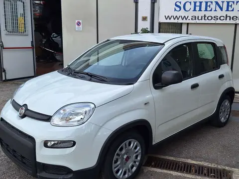 Used FIAT PANDA Hybrid 2024 Ad 