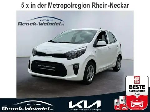 Used KIA PICANTO Petrol 2023 Ad 