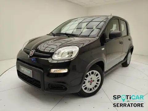 Used FIAT PANDA Hybrid 2023 Ad 