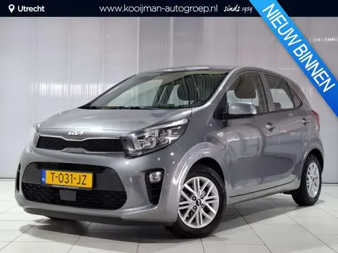 Used KIA PICANTO Petrol 2023 Ad 