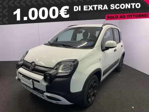 Used FIAT PANDA Hybrid 2023 Ad 