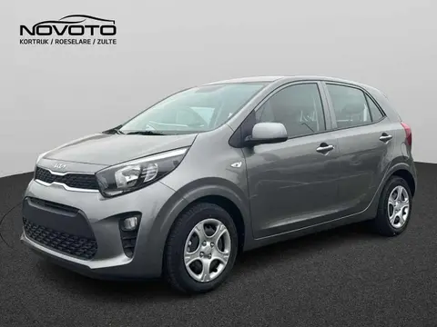 Used KIA PICANTO Petrol 2024 Ad 