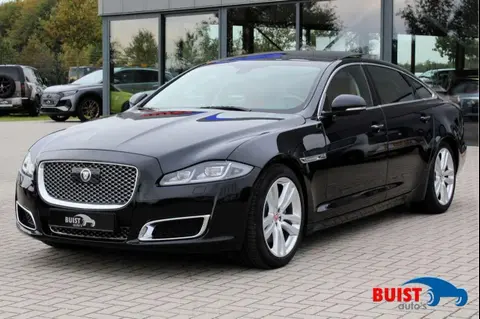 Annonce JAGUAR XJ Essence 2018 d'occasion 