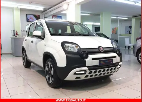 Used FIAT PANDA Hybrid 2023 Ad 