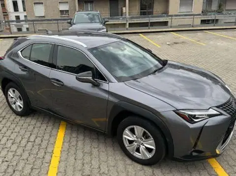 Used LEXUS UX Hybrid 2021 Ad 