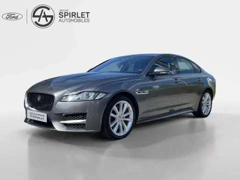 Used JAGUAR XF Diesel 2017 Ad 