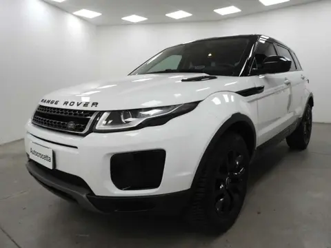 Used LAND ROVER RANGE ROVER EVOQUE Diesel 2019 Ad 