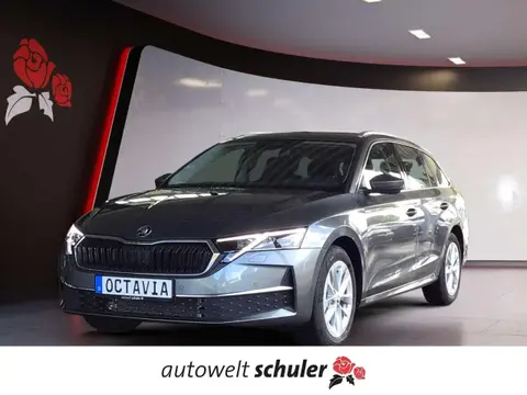 Used SKODA OCTAVIA Diesel 2024 Ad 