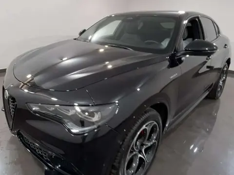 Annonce ALFA ROMEO STELVIO Diesel 2024 d'occasion 