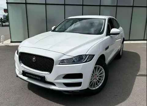 Used JAGUAR F-PACE Diesel 2020 Ad 