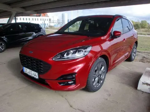 Annonce FORD KUGA Essence 2023 d'occasion 