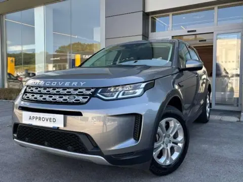 Used LAND ROVER DISCOVERY Hybrid 2019 Ad 