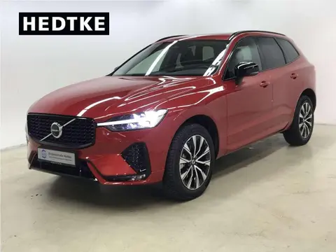 Annonce VOLVO XC60 Diesel 2023 d'occasion 