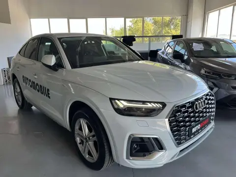 Used AUDI Q5 Hybrid 2021 Ad 