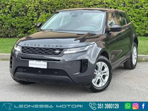 Used LAND ROVER RANGE ROVER EVOQUE Hybrid 2021 Ad 