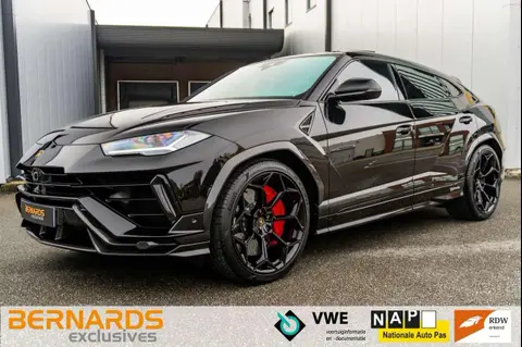 Used LAMBORGHINI URUS Petrol 2024 Ad 