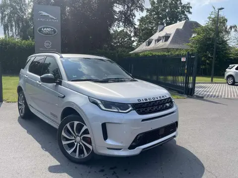 Used LAND ROVER DISCOVERY Hybrid 2023 Ad Belgium