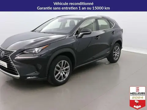 Used LEXUS NX Hybrid 2019 Ad 