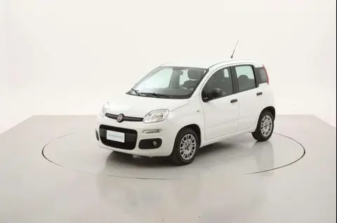 Annonce FIAT PANDA Diesel 2016 d'occasion 